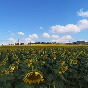Appartamento incantevole appartamento in borgo di campagna, Perugia